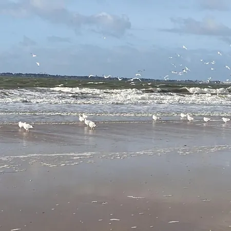 Appartement Kerlorandeevens, Face Mer, Parking *