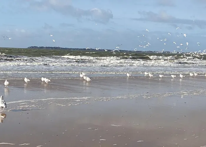 Appartement Kerlorandeevens, Face Mer, Parking *